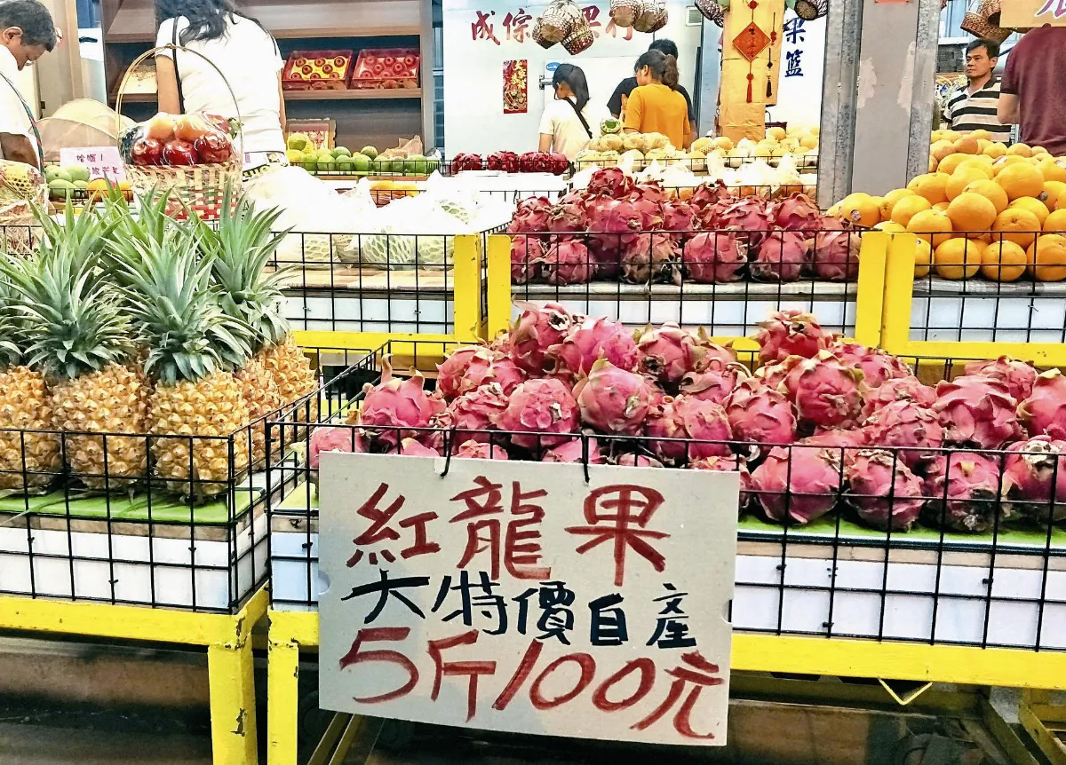 進入產季 紅龍果產銷拉警報