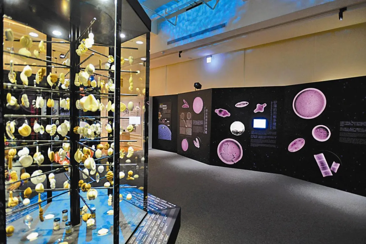 解讀海洋微化石 有如藝術品