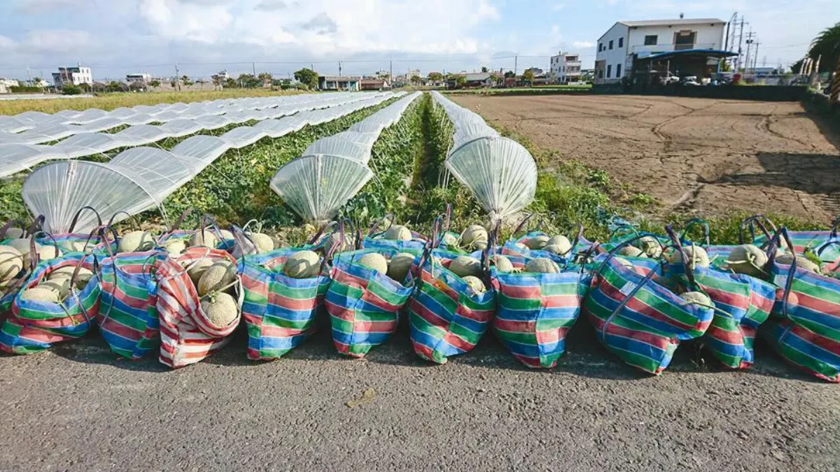 生活快門袋價而沽