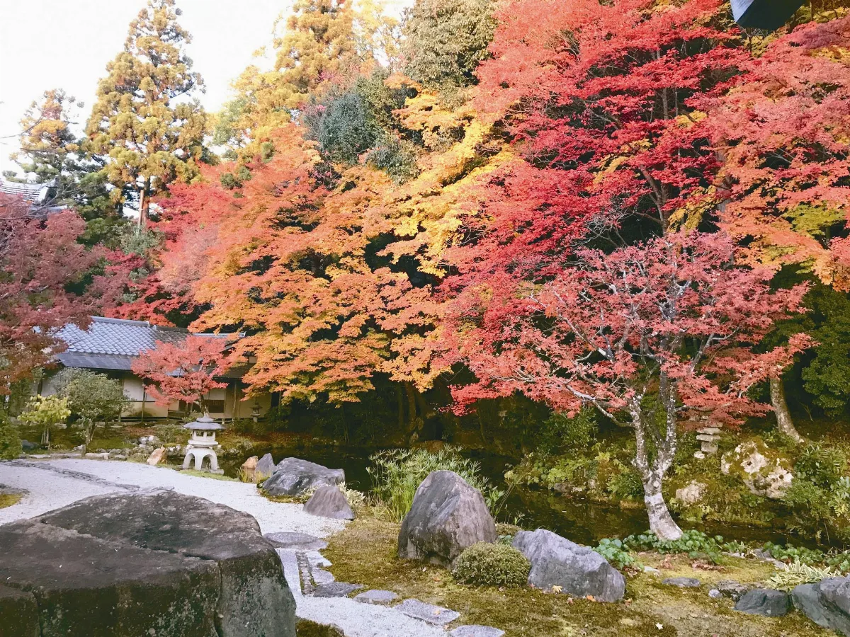 遨遊藝事京都南禪寺