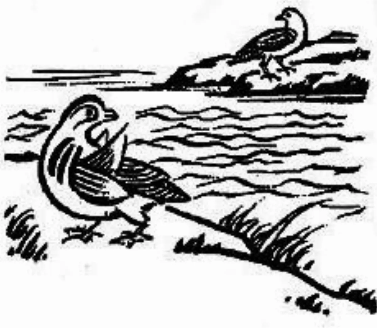 【豐子愷．護生畫集】浪打鴛鴦