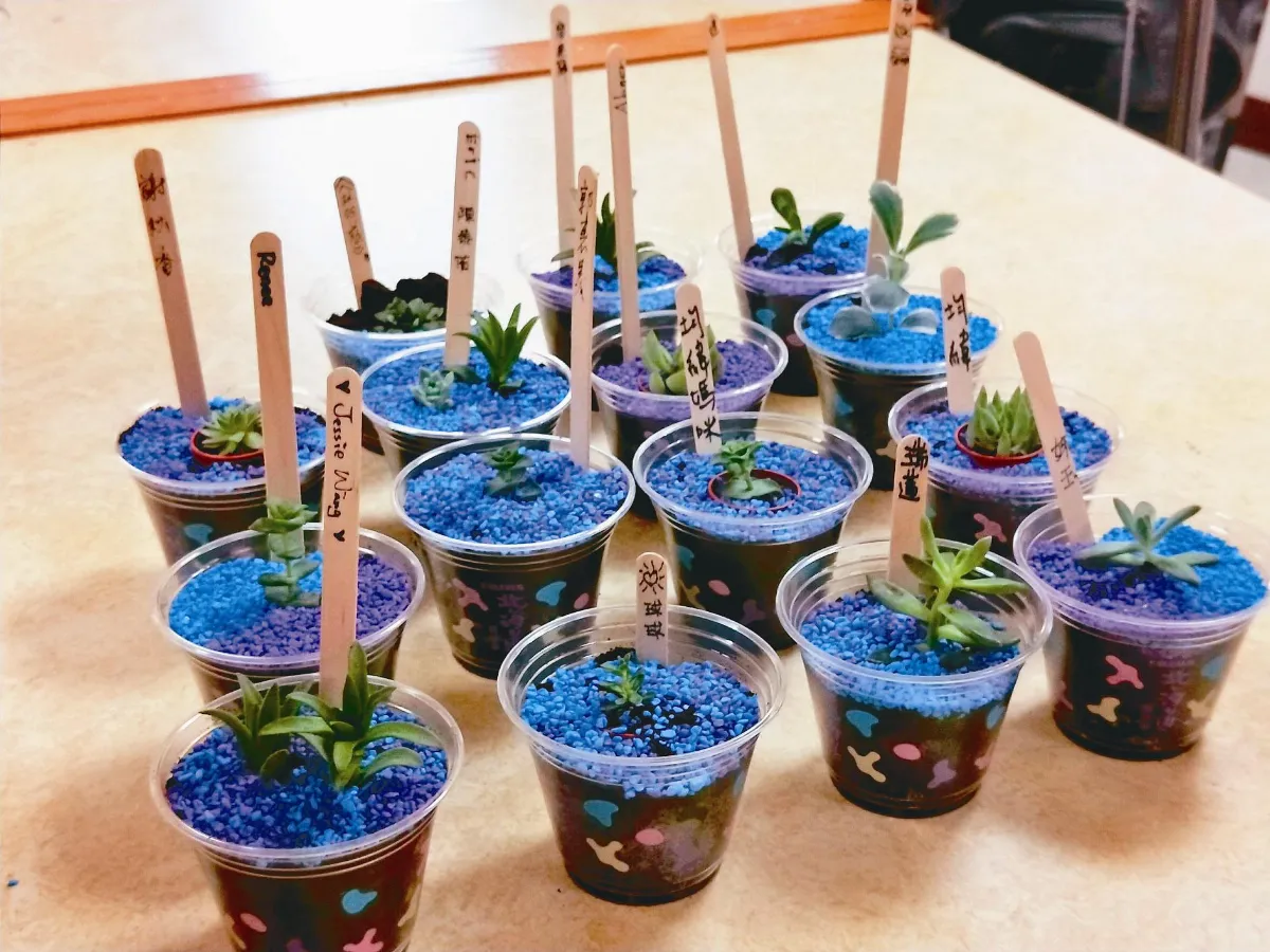 咖啡渣植物盆栽 病童開心DIY