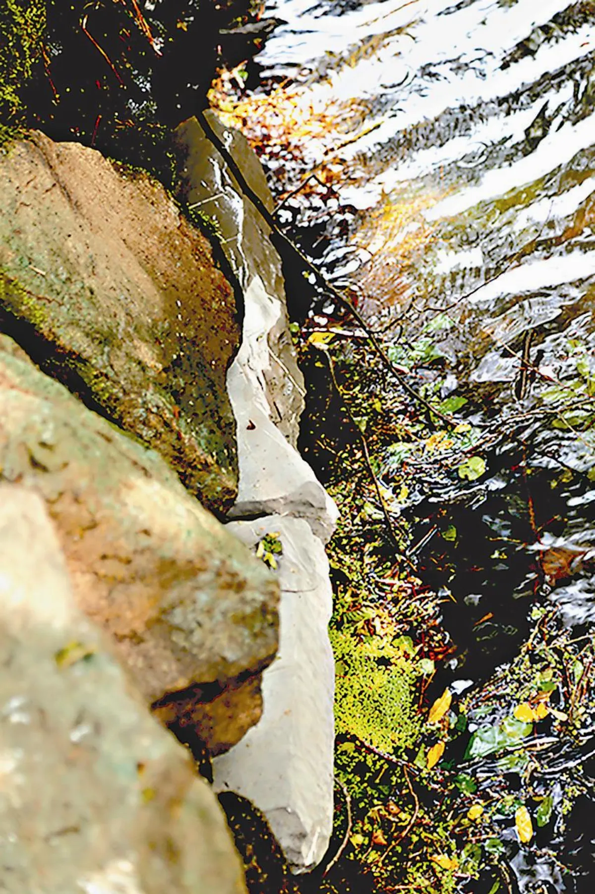 【行走人間】雲遮霧繞聖旨碑