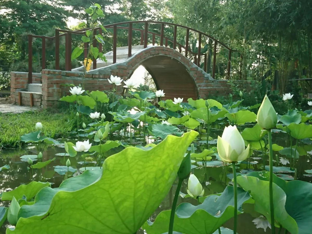 六祖壇經講話前言2