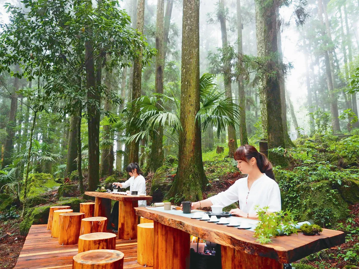 阿里山 茶席與天地間對話
