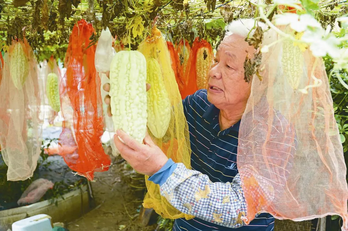 種菜校長談育兒 籲父母遠離手機