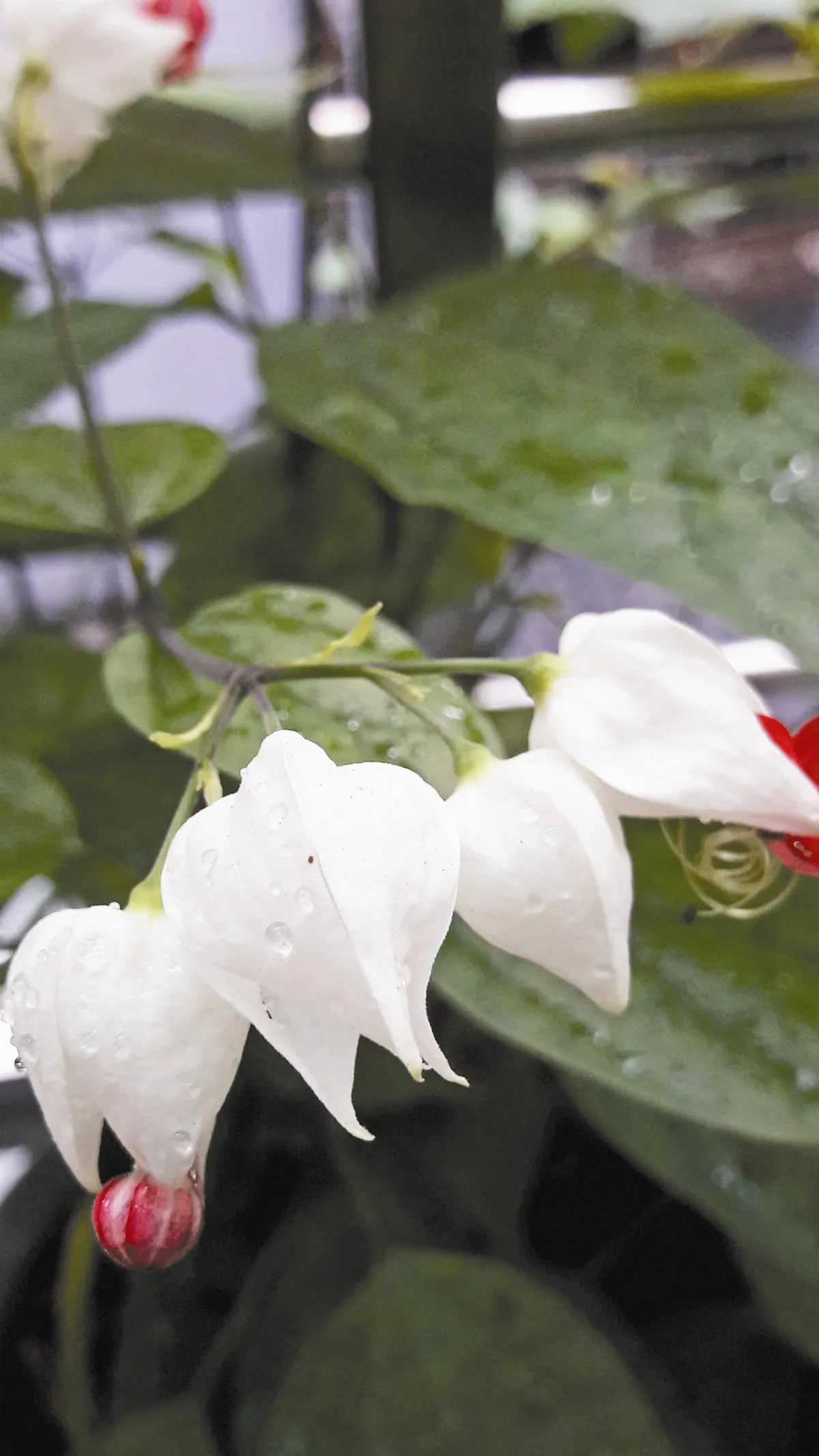 生命畫語 生命之水