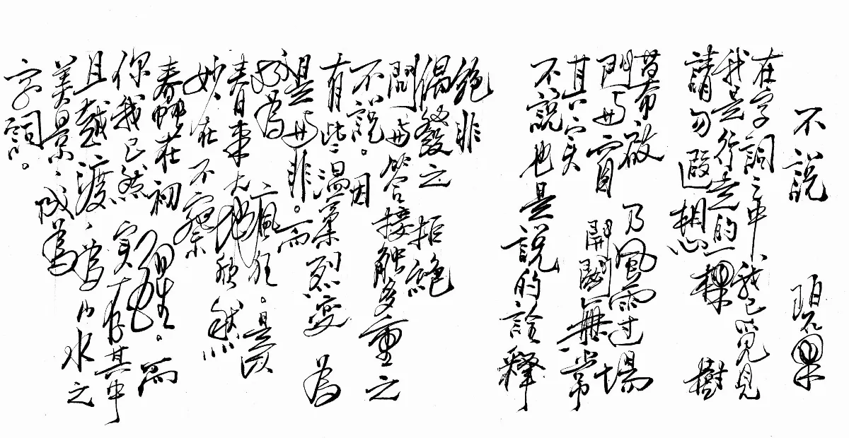詩 不說