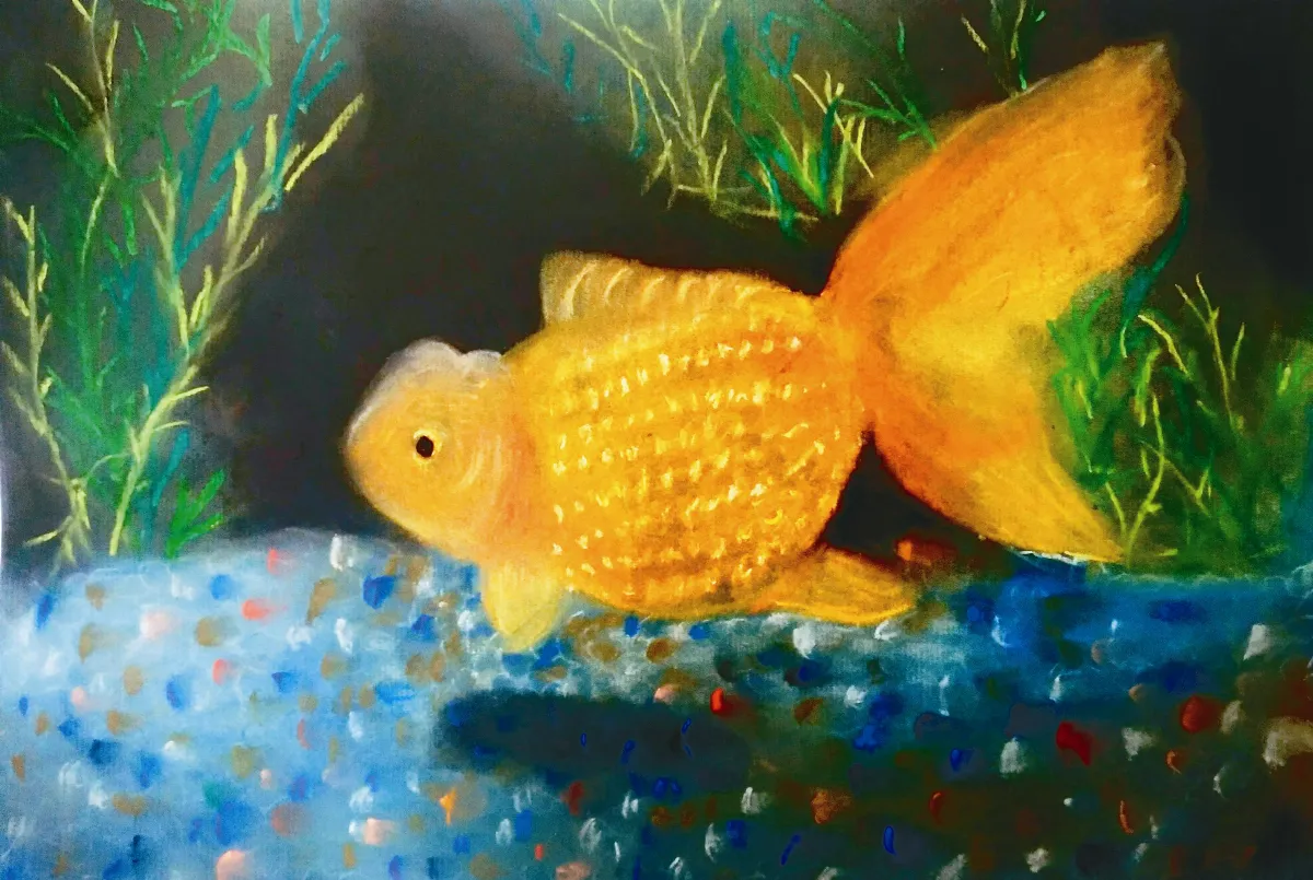 快樂塗鴉簿 我家的魚缸