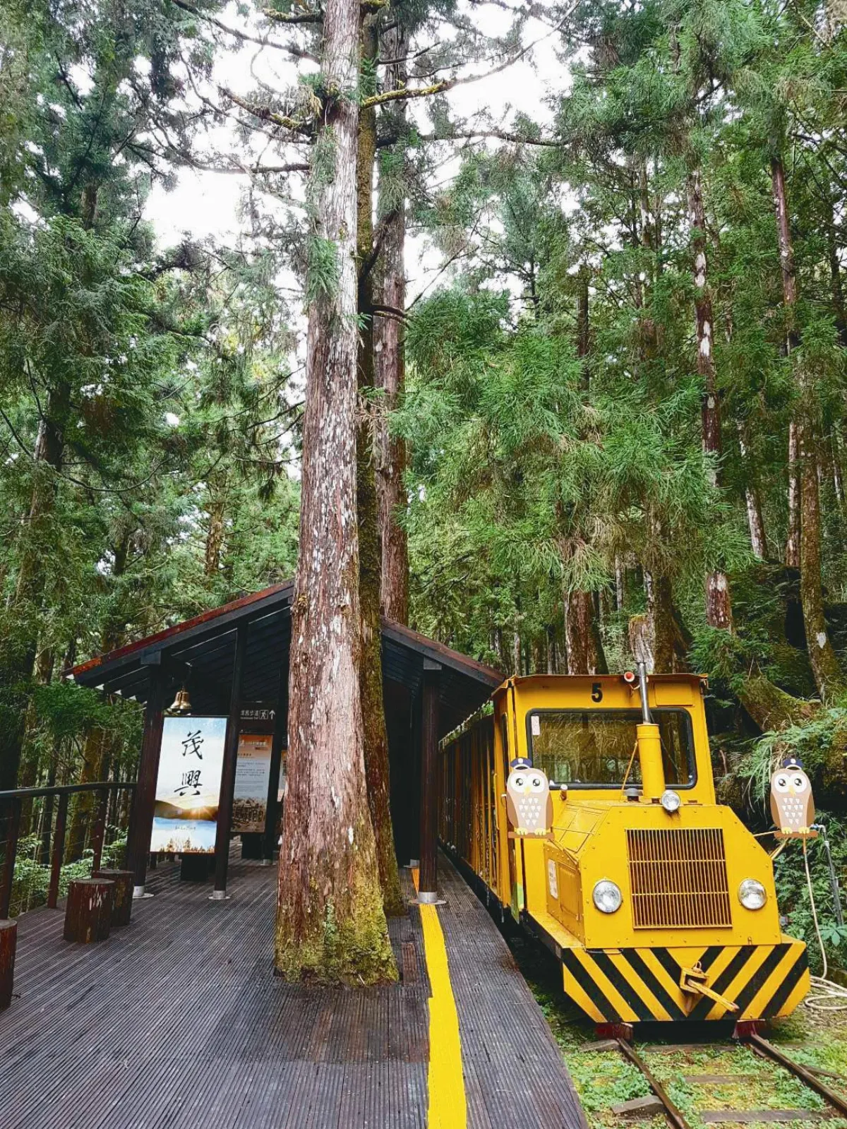 停駛6年太平山蹦蹦車 下月復駛