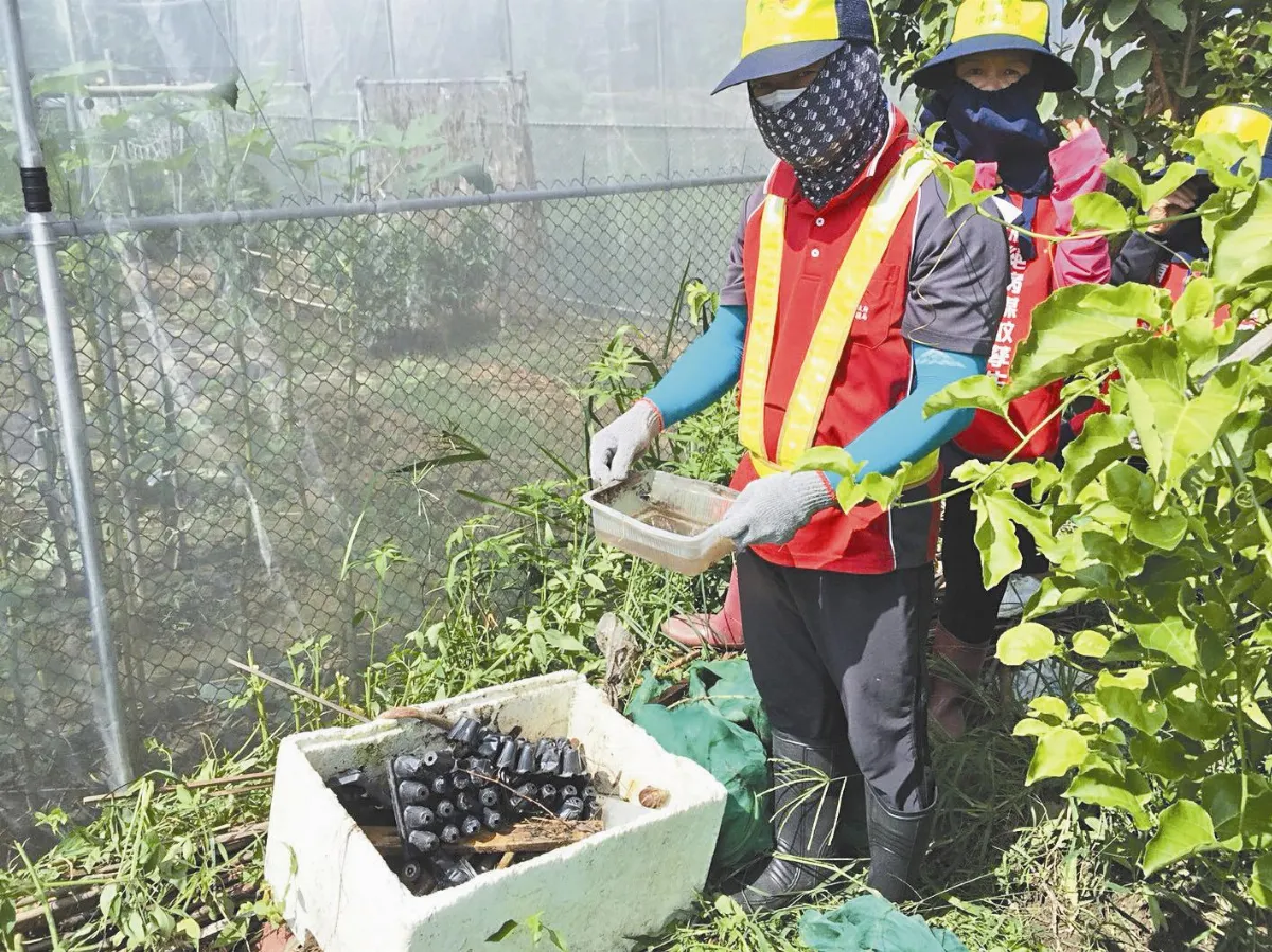開心農場惹禍 登革熱群聚 延燒台中大里