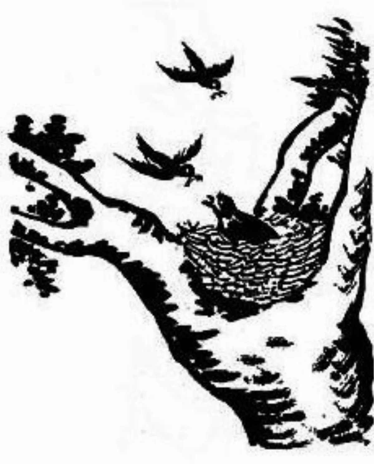 【豐子愷．護生畫集】反哺