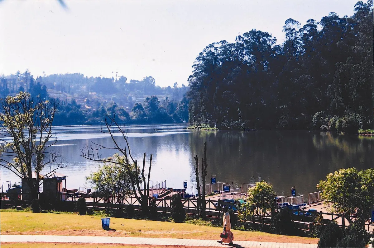 海闊天空 烏蒂的溫馨