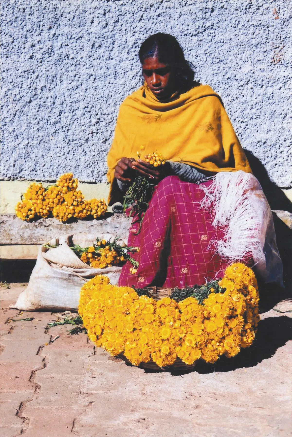 海闊天空 烏蒂的溫馨