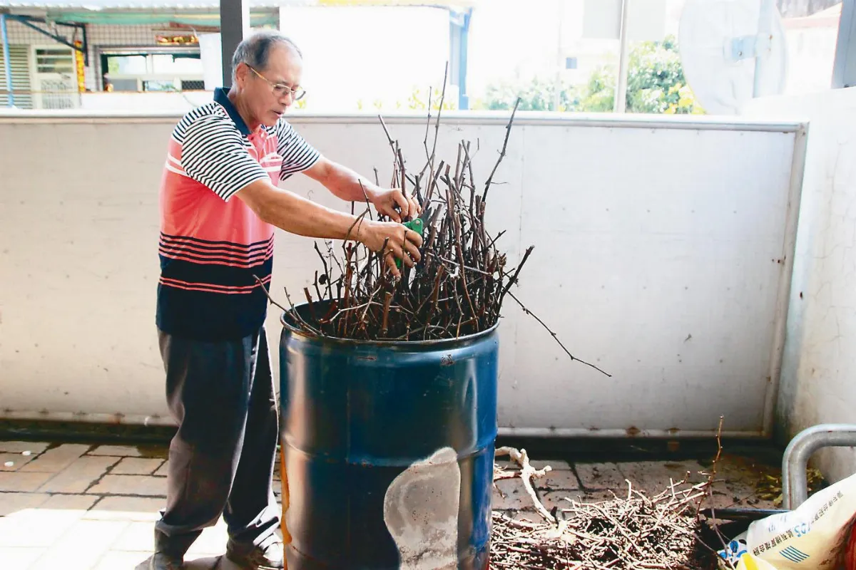 葡萄藤枝條 再生製葡醋液