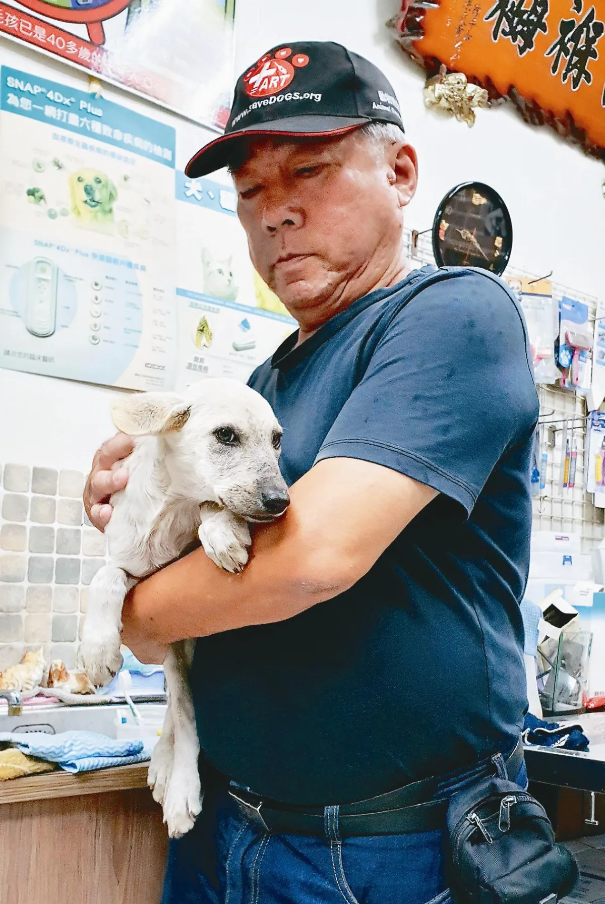 流浪犬攔車 救落水同伴