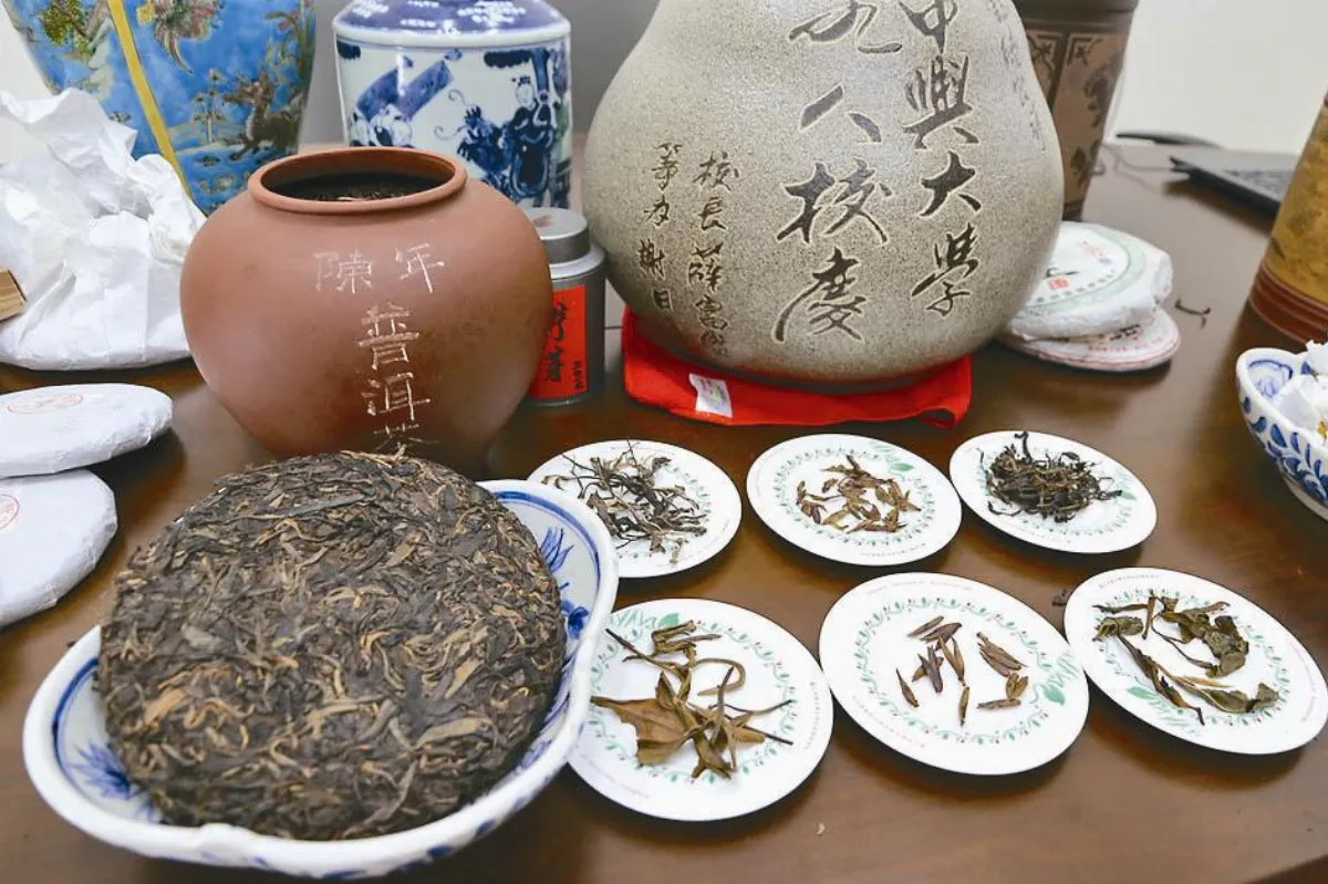 興大實驗 普洱茶可減油脂吸收