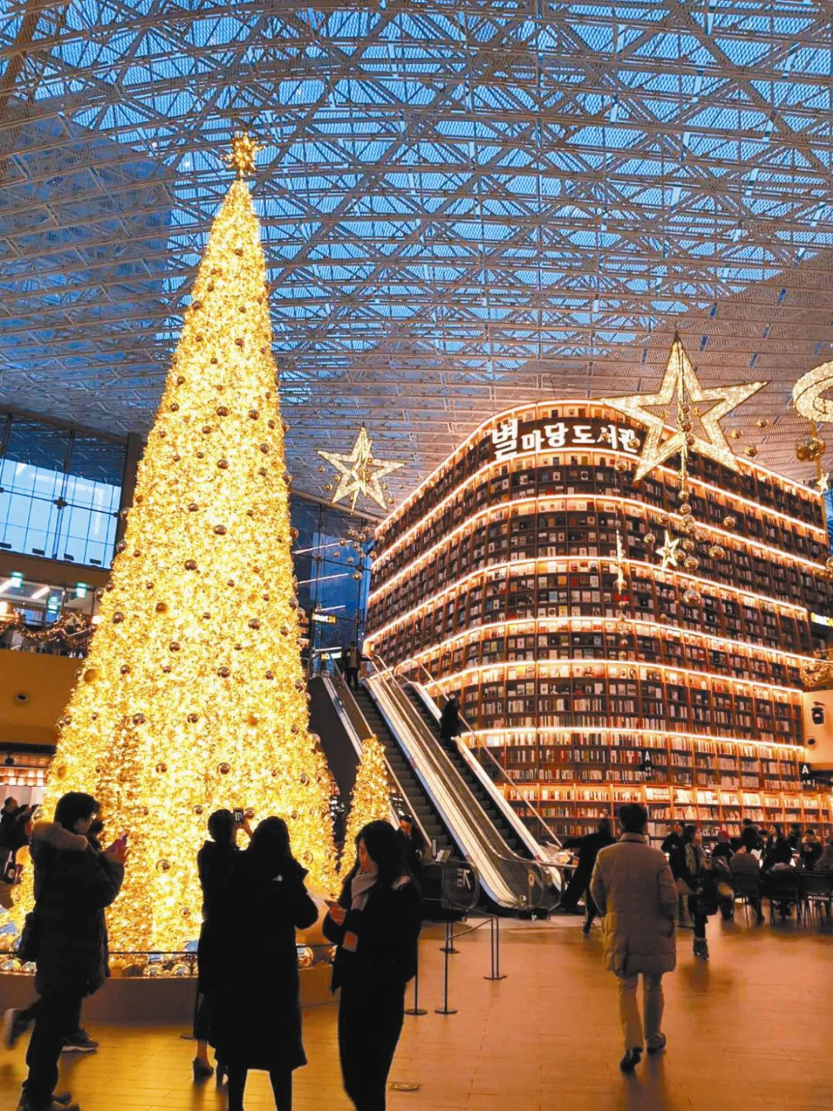 生活快門 星空圖書館