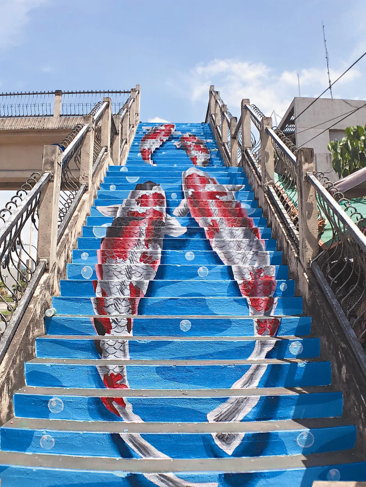 鯉魚上游 天橋獲新生