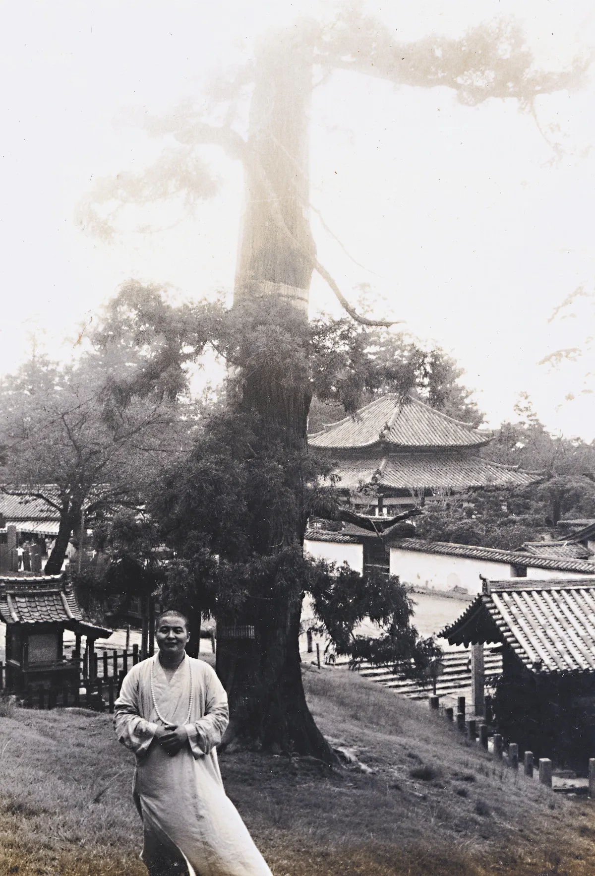 海天遊 日本 8