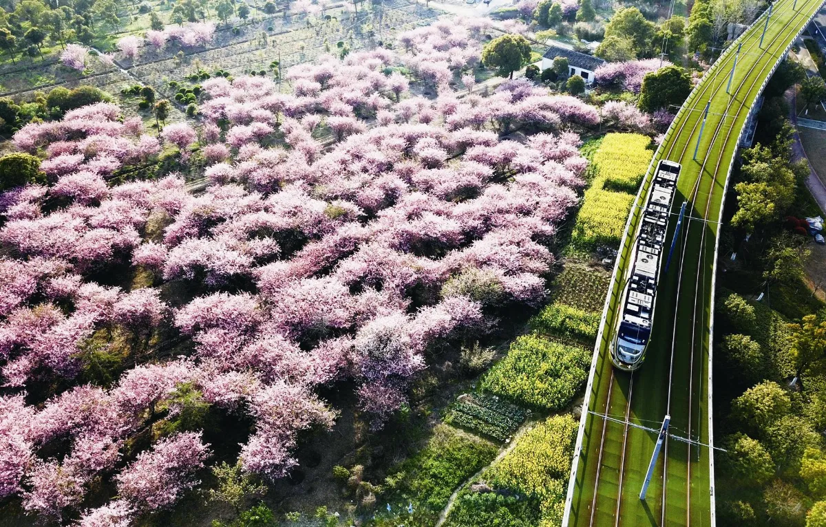 般若品第二  問題講解 1