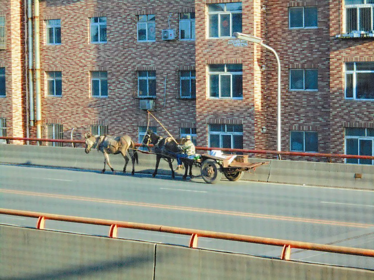 生活快門名符其實的馬路