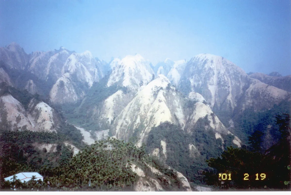 曾一夕禿頭 九九峰恢復翠綠