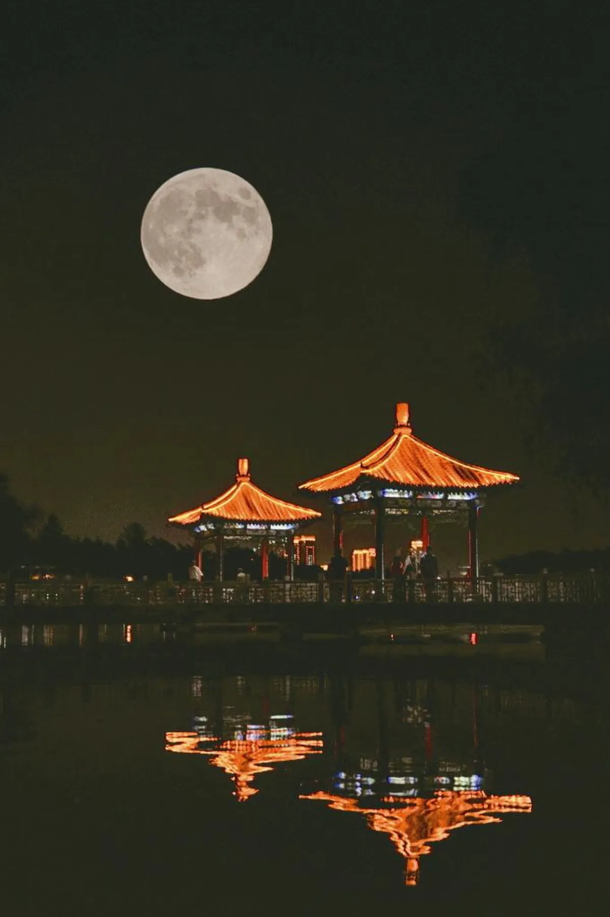 一輪明月  菩提影現畢竟空