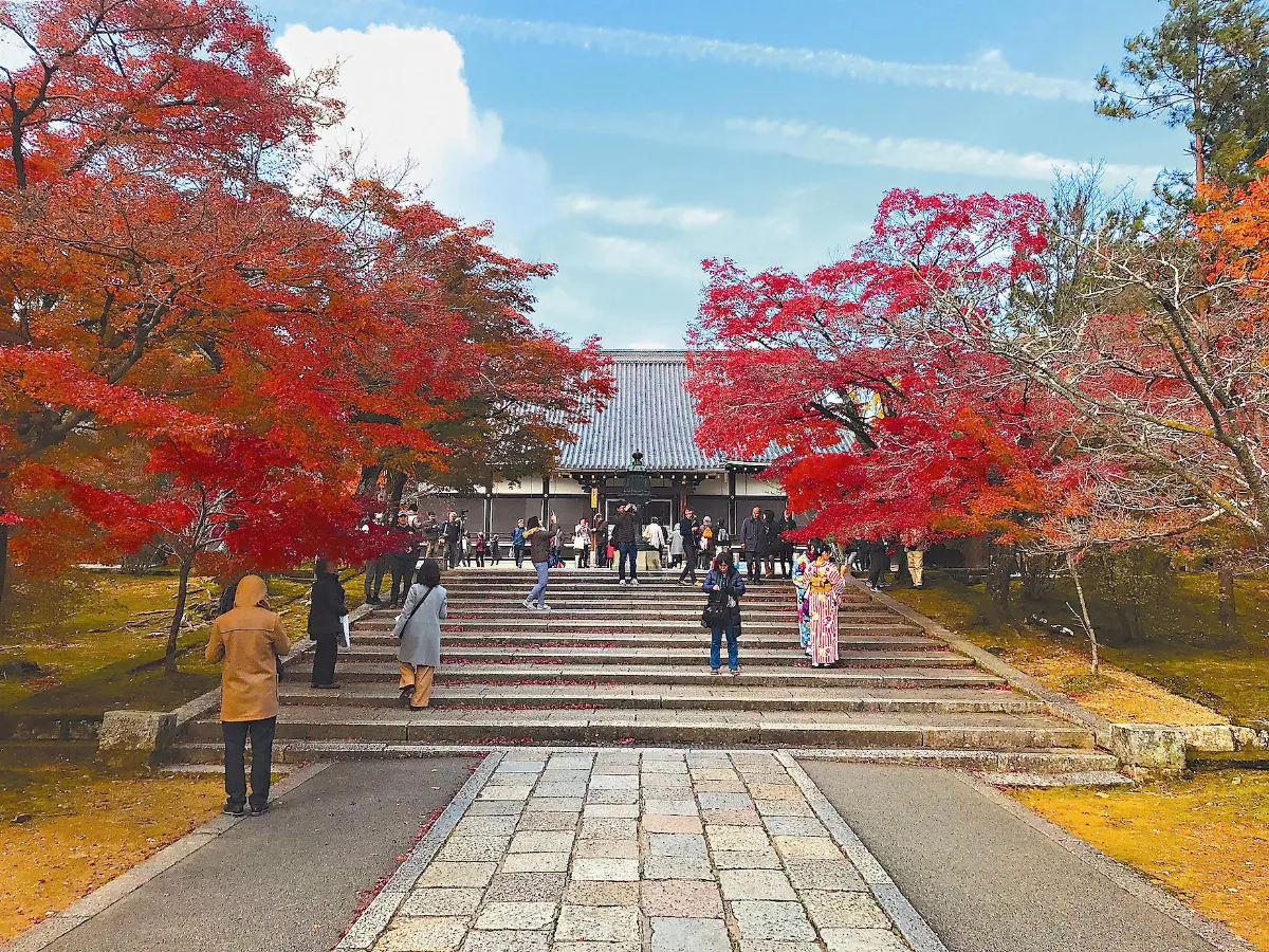 遨遊藝事 文化遺產京都仁和寺