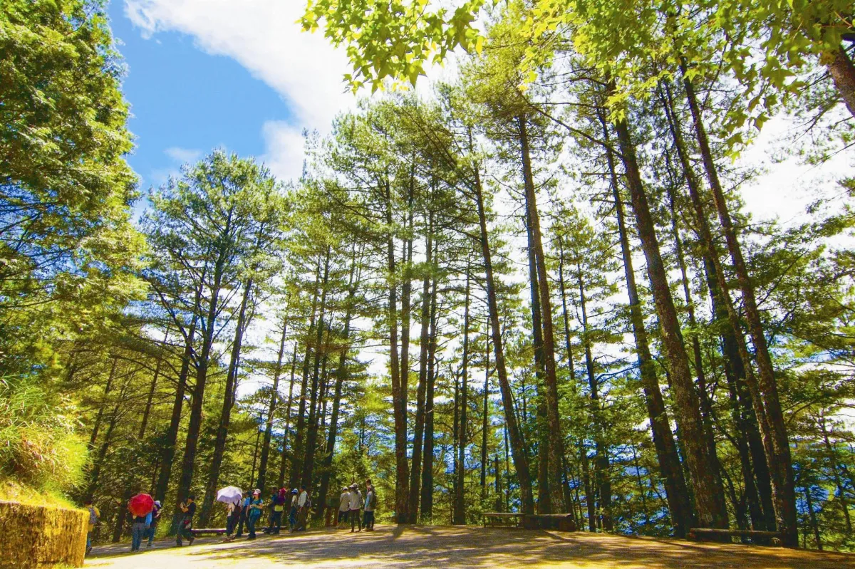 長輩10月遊大雪山 門票10元