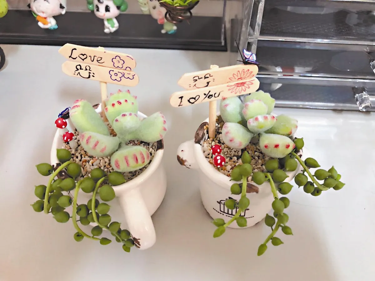 生活快門黏土做的小盆栽