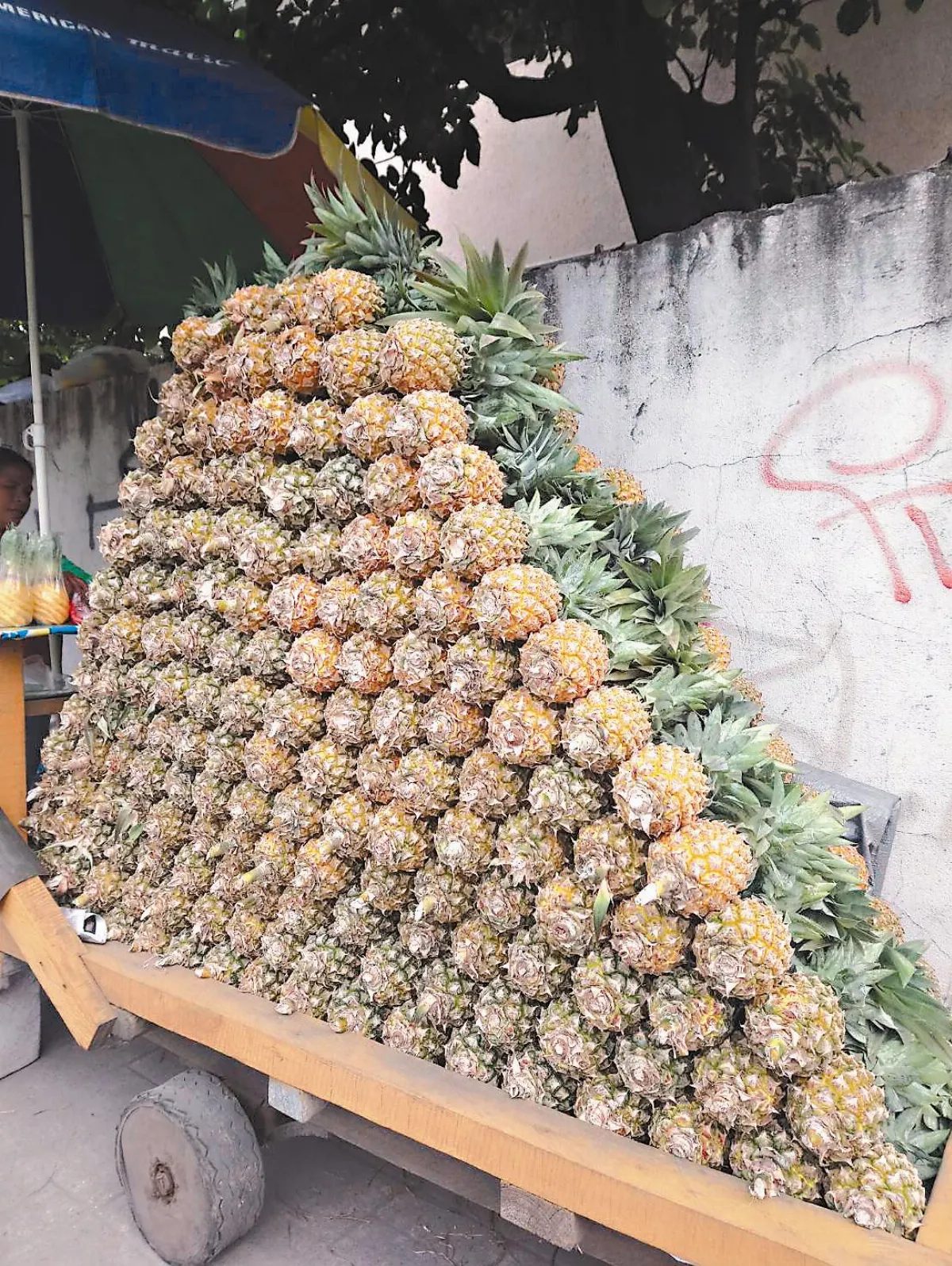 生活快門 鳳梨階梯