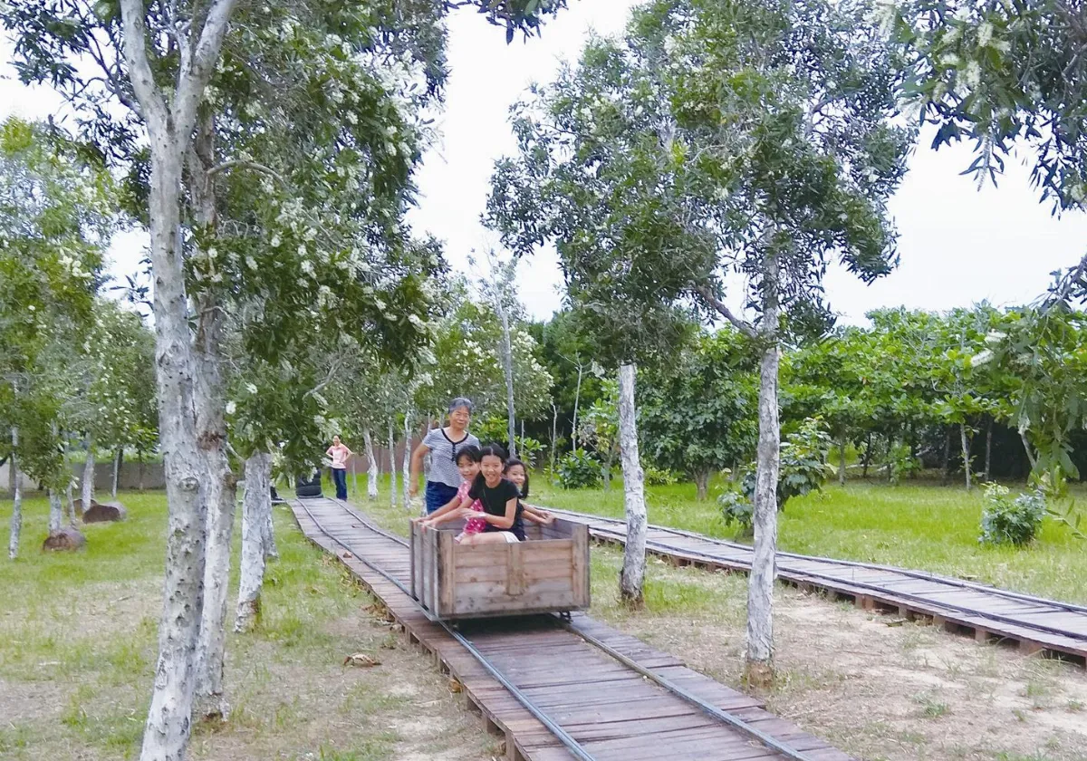 生活快門 林間推拉車