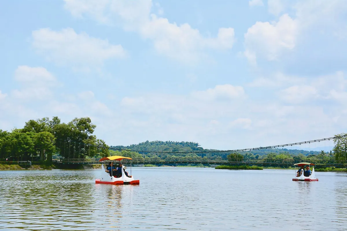 外來魚種增 虎頭埤生態隱憂