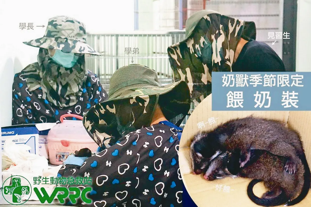 替野生動物餵奶 人不像人