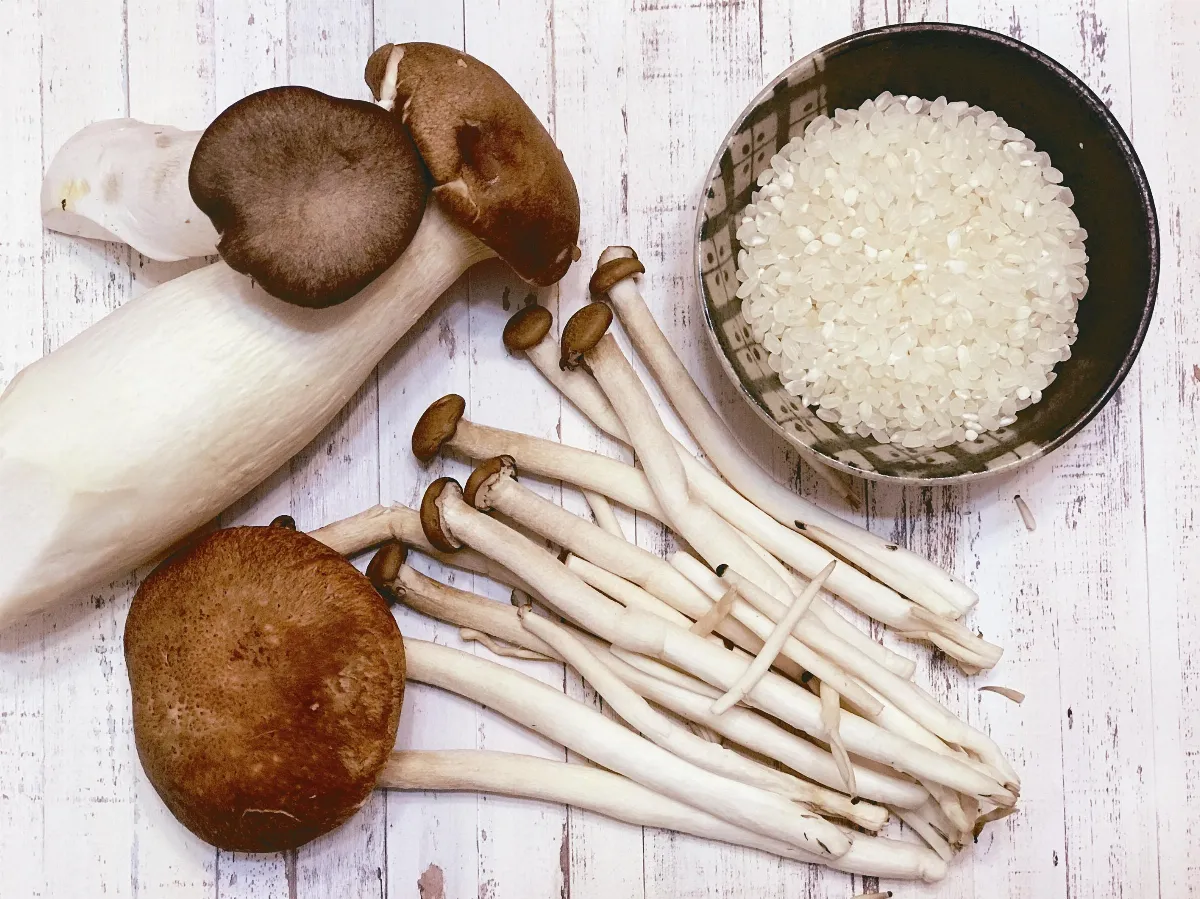 寶月上堂齋  別有風味 菇菇飯