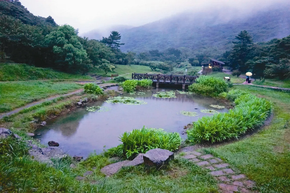 陽明山二子坪  發了