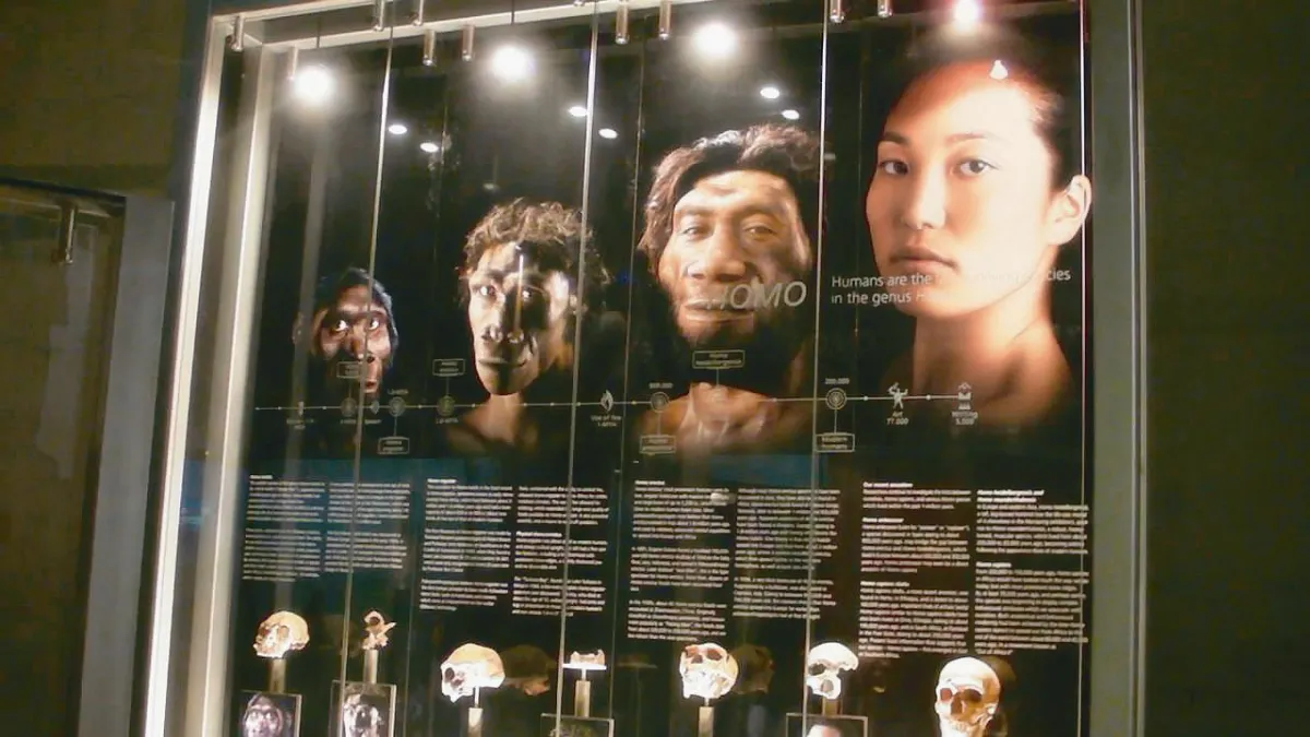 鏡頭下 回到最初的起點 人類搖籃遺址在南非