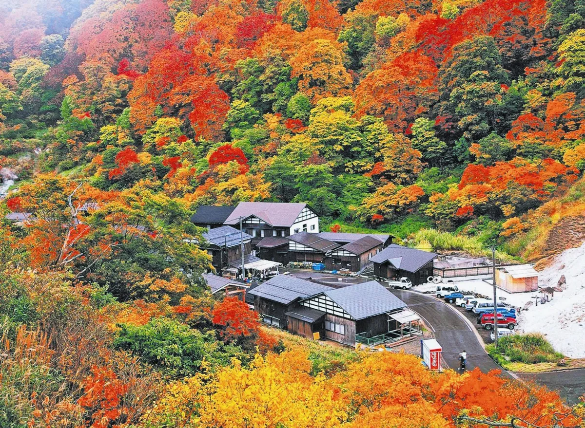 日最美楓景 青森、京都你選誰