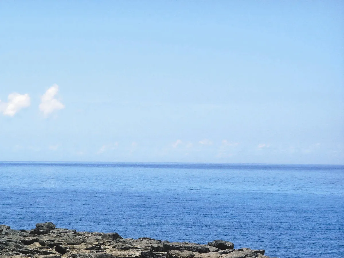 在城市裡聽見海濤  時光重逢