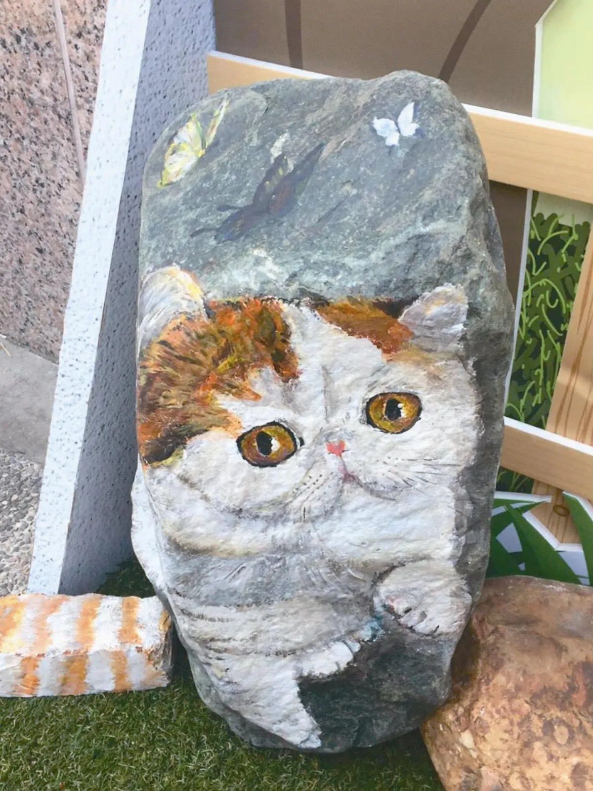 生活快門   萌翻的石化喵星人