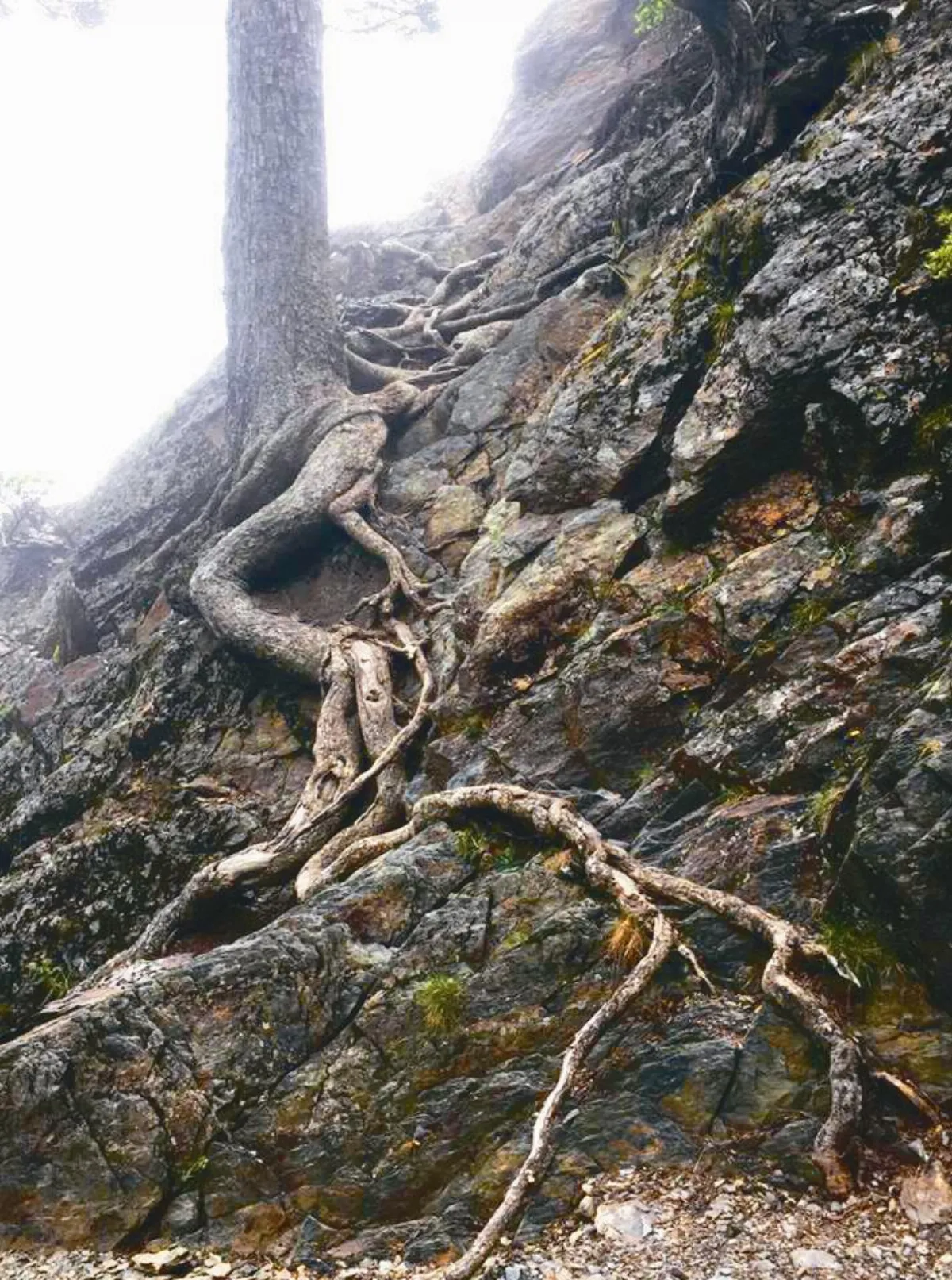 台灣 好美 高山篇 玉山西峰