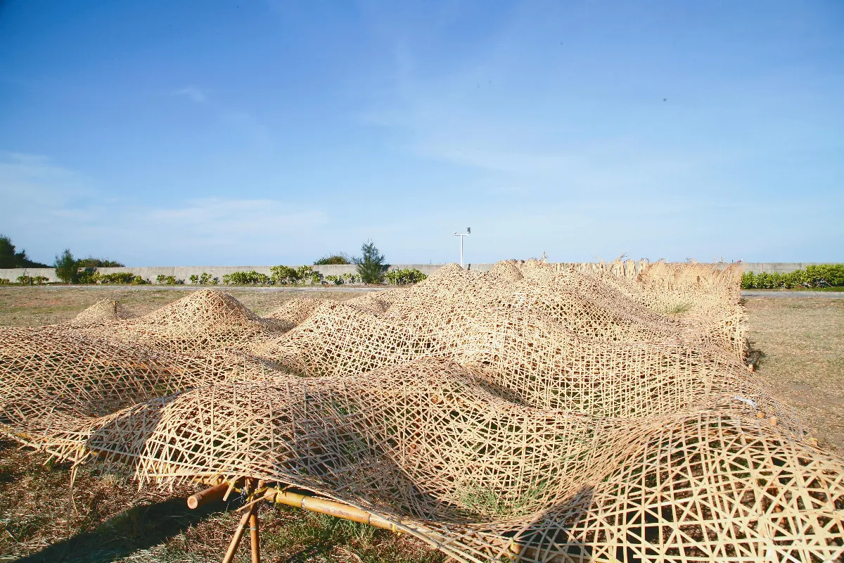 南方以南 藝術驚奇亮眼