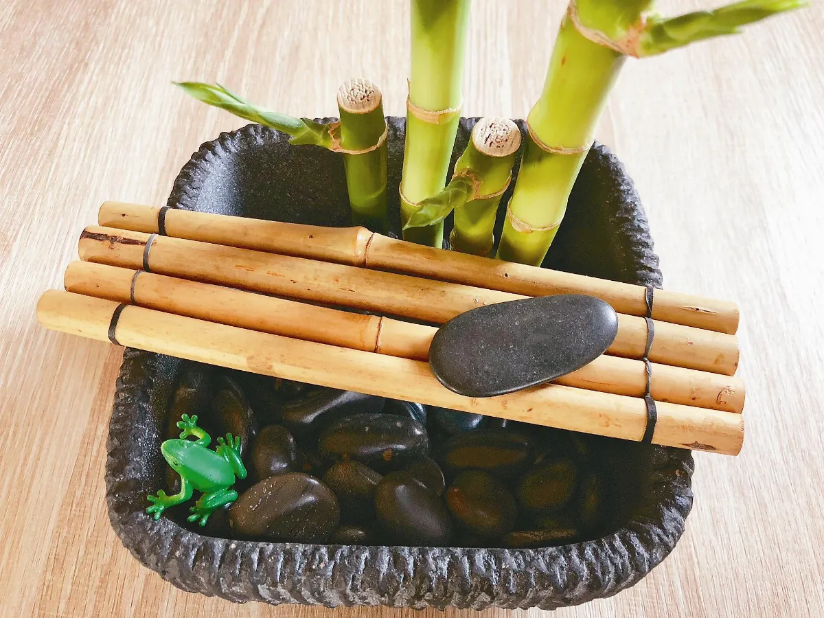 〔愛植栽〕Water水耕植物Lesson 2