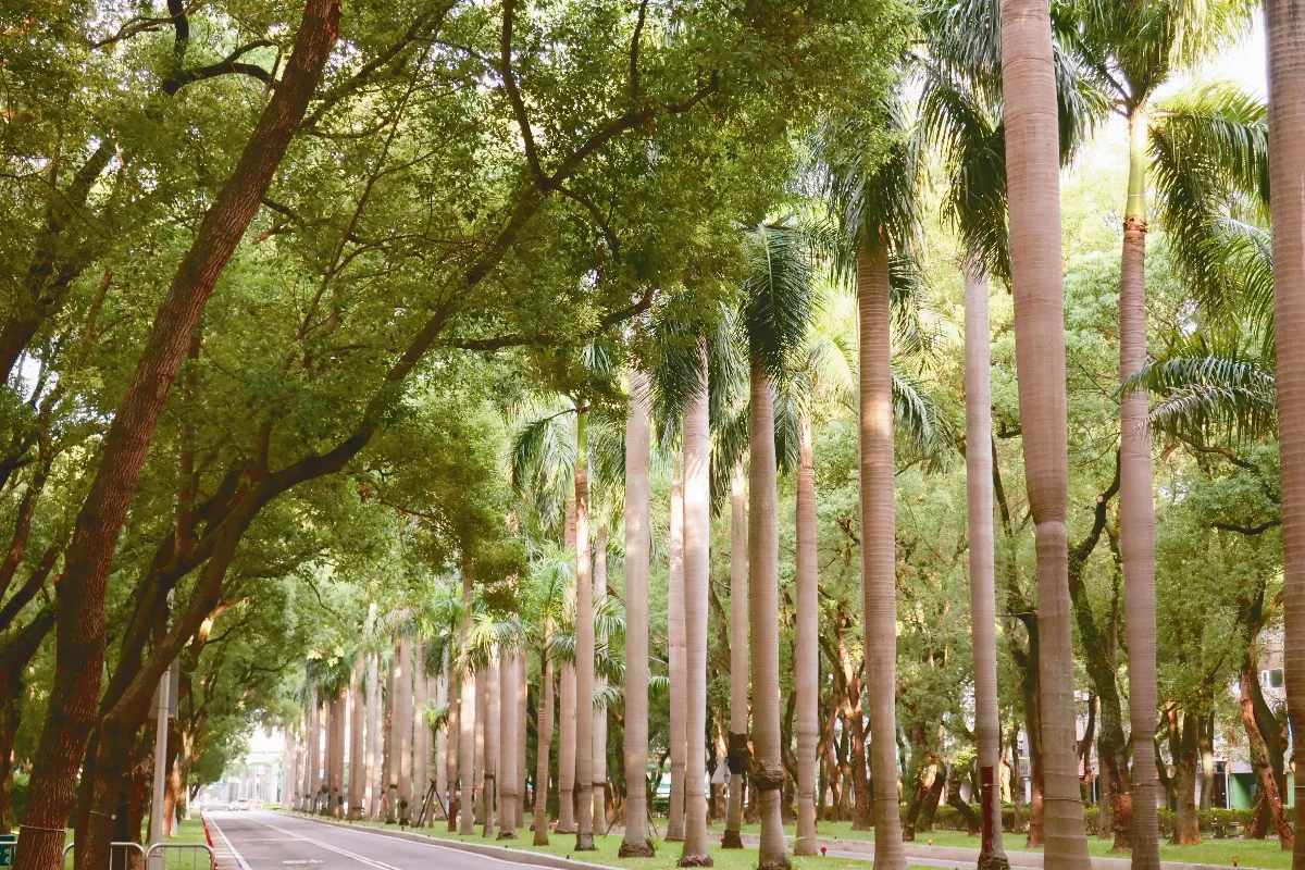 【悠然．市廛】綠藝仁愛路