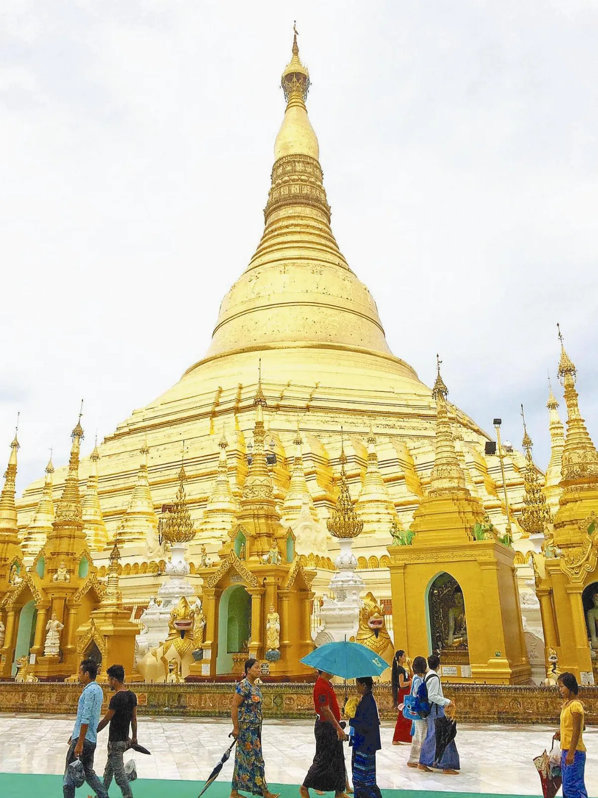 時光重逢    愛在雨豆樹的城市