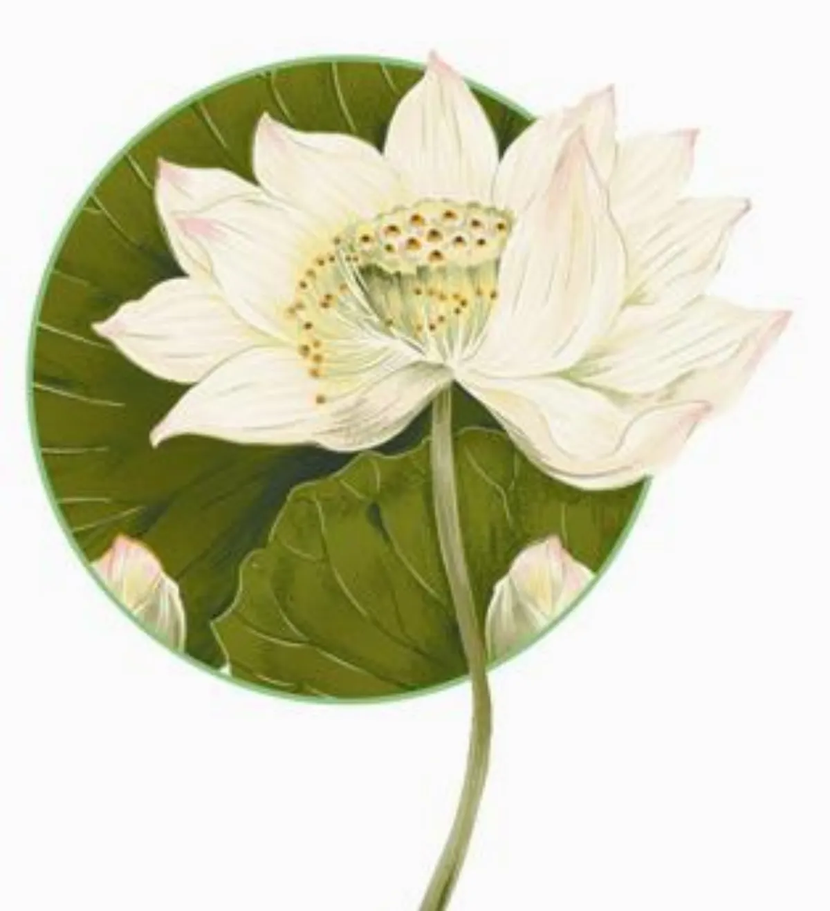 生死自在  末期臨終病患通訊往生輔導實例 （七）