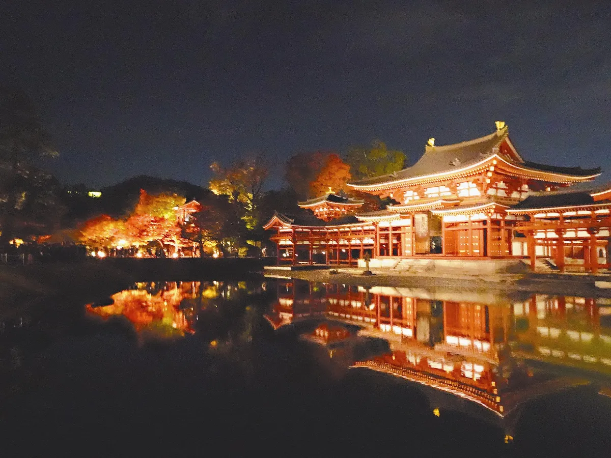 平等院賞夜楓 光雕金碧輝煌