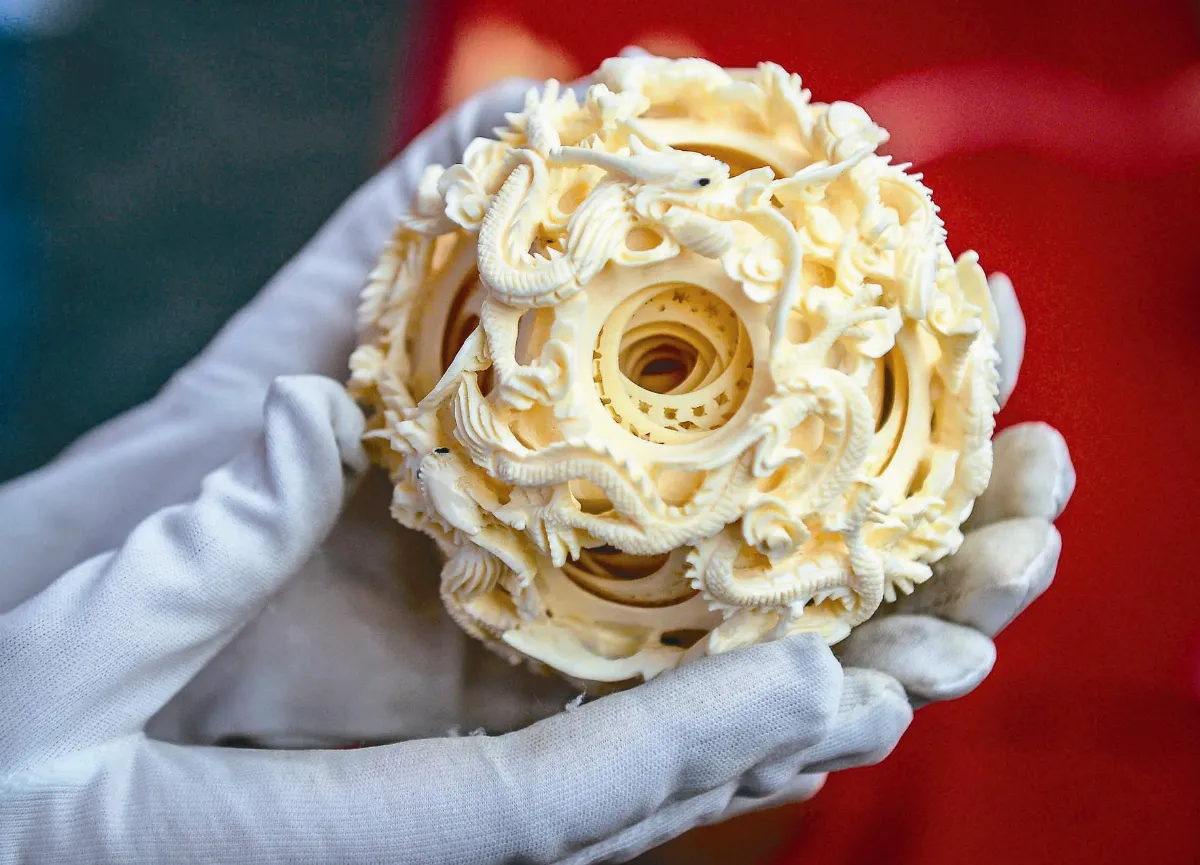 挺保育 犀牛角 拍賣場止步