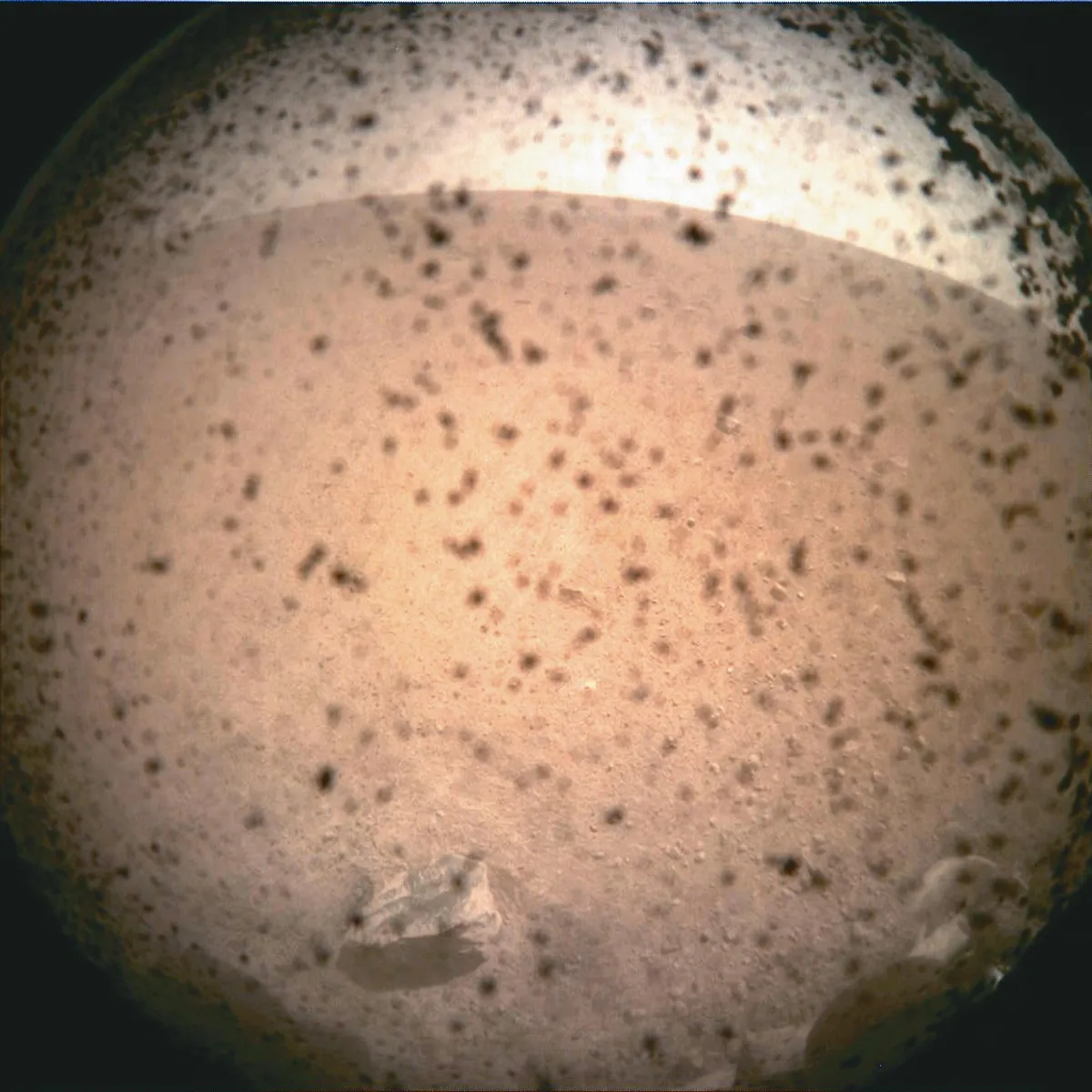 洞察號 傳回火星照片